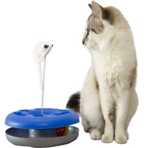 Brinquedo Chalesco Kitty Ball Cores Variadas