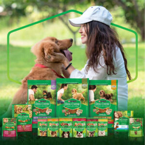 Ração Úmida Nestlé Purina Dog Chow Sachê Carne para Cães Adultos