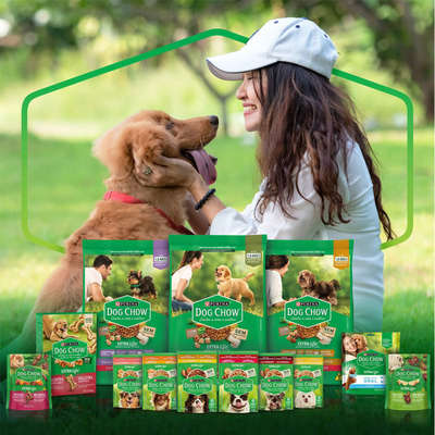Ração Úmida Nestlé Purina Dog Chow Sachê Carne para Cães Adultos Ração Úmida Nestlé Purina Dog Chow Sachê Carne para Cães Adultos